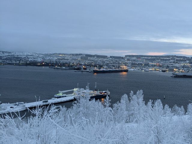 Обзорная экскурсия "Набережные через залив от Мурманска"