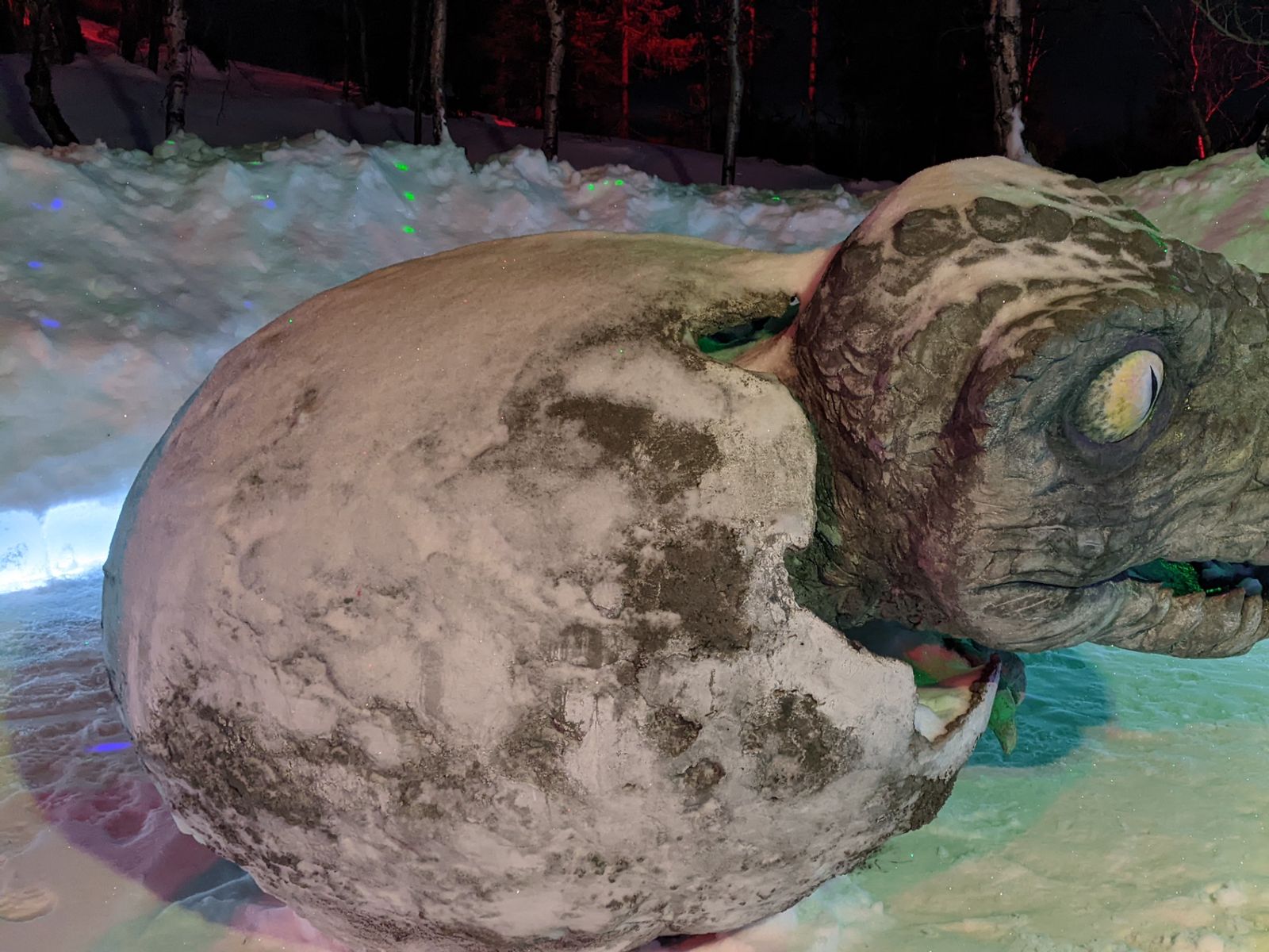 Таинственный лес