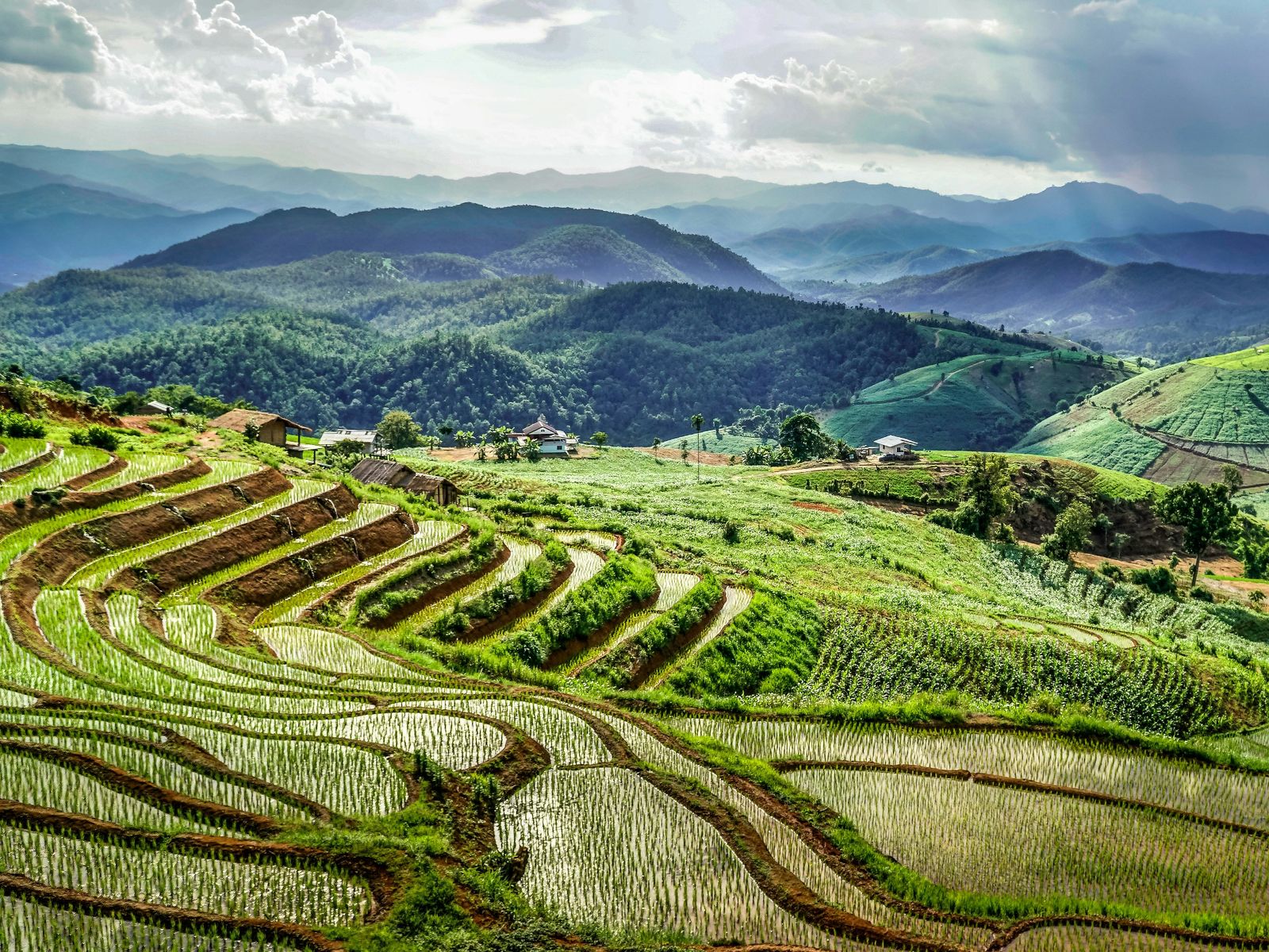 Природа Таиланда