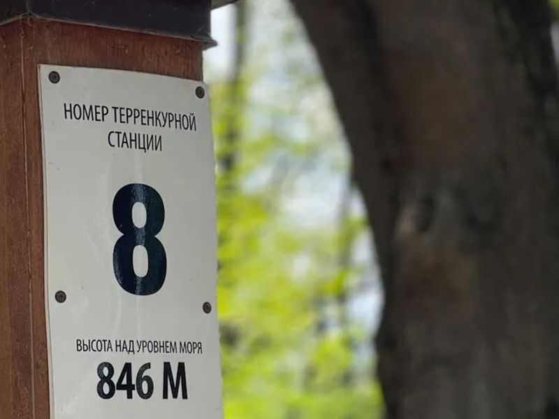 Терренкур