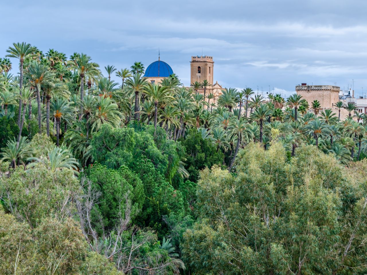 Индивидуальная обзорная экскурсия из Аликанте в Эльче - индивидуальная экскурсия в Аликанте на машине гида длительностью 3 часа с количеством участников до 5 человек цена экскурсии 230€