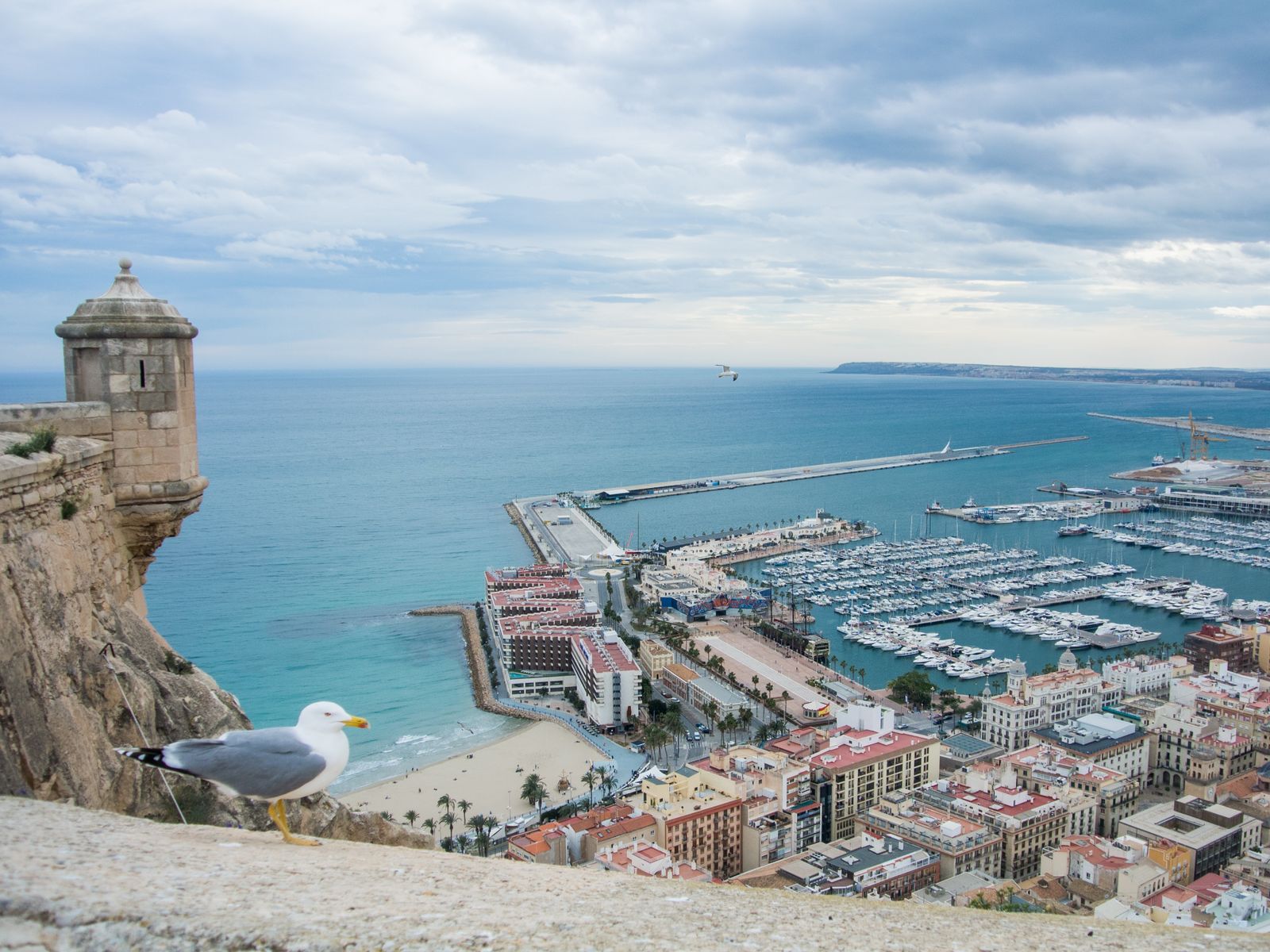 Порт Аликанте