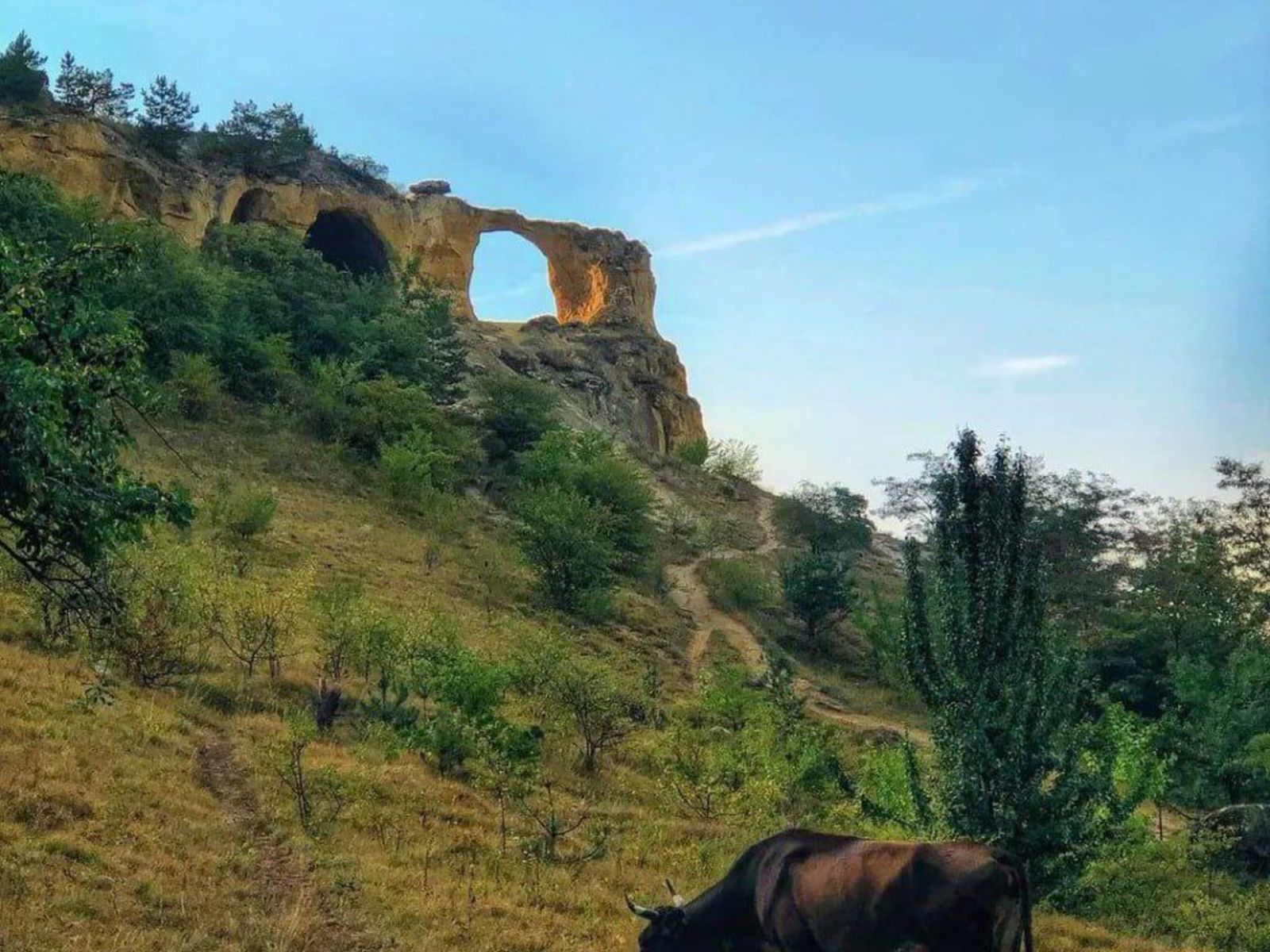 Кольцо-гора