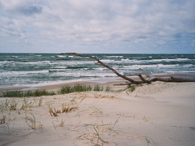 Восхищаемся чудесами Куршской косы