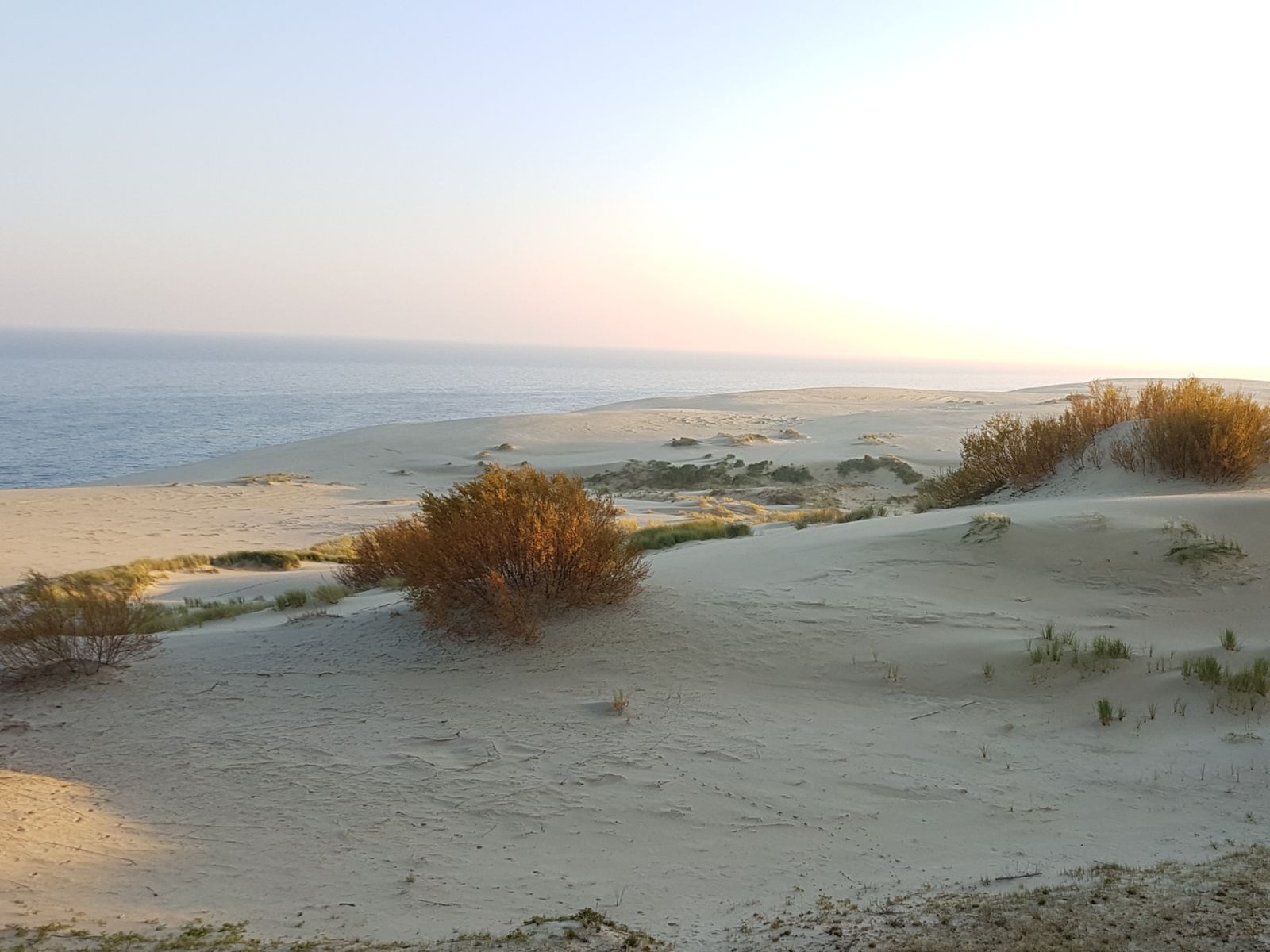 На Куршской косе