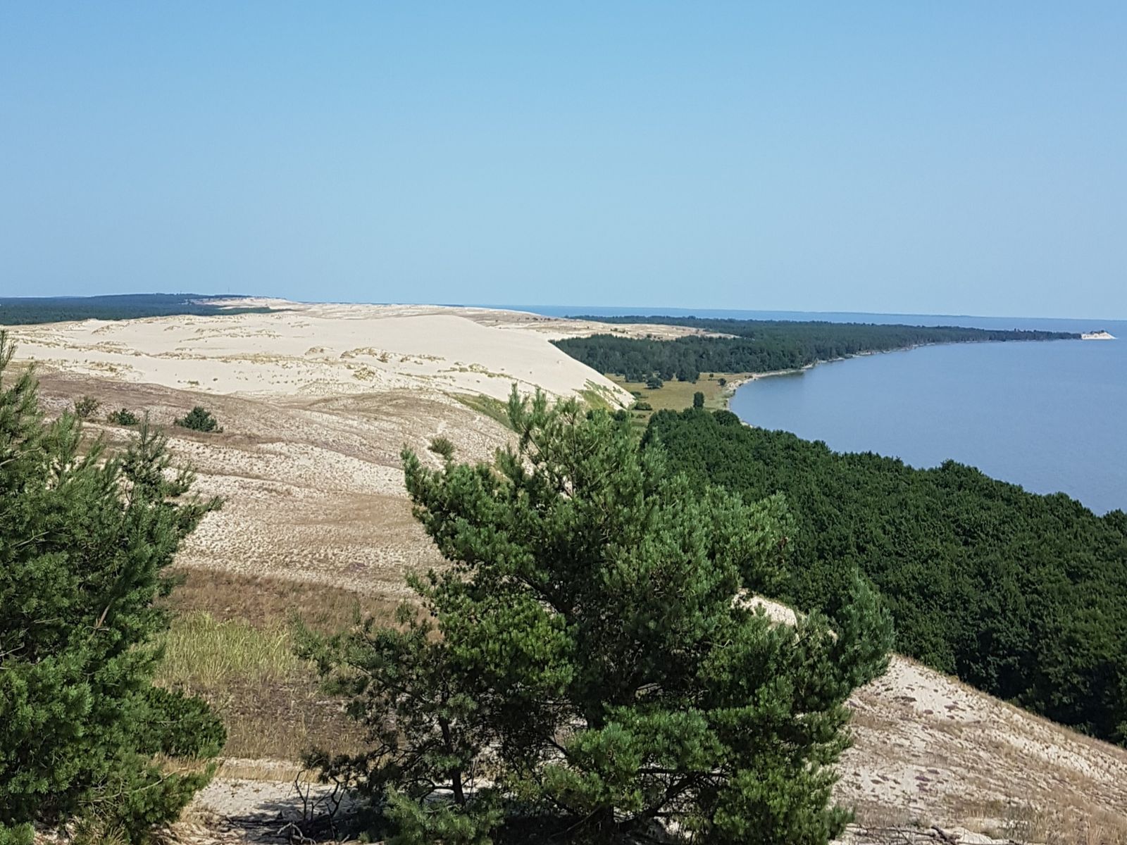 Вид на Куршскую косу