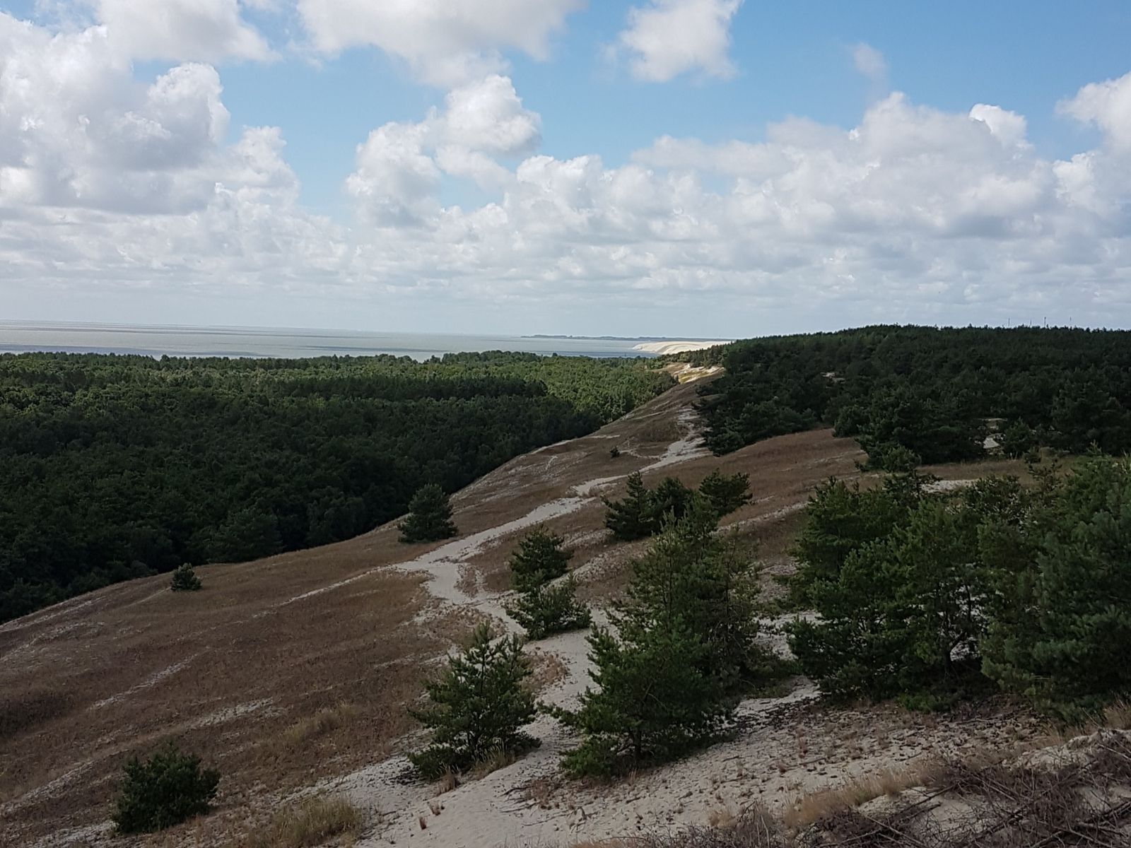 На экскурсии по Куршской косе