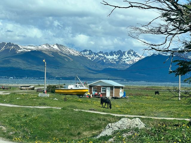 Экскурсия к пингвинам и другие приключения на краю света — фото 3