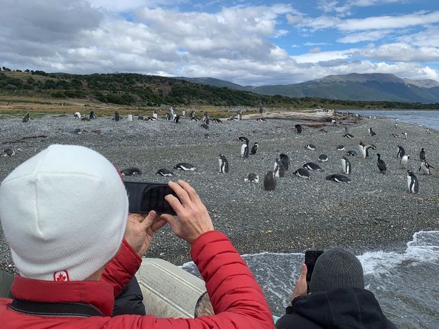 Экскурсия к пингвинам и другие приключения на краю света