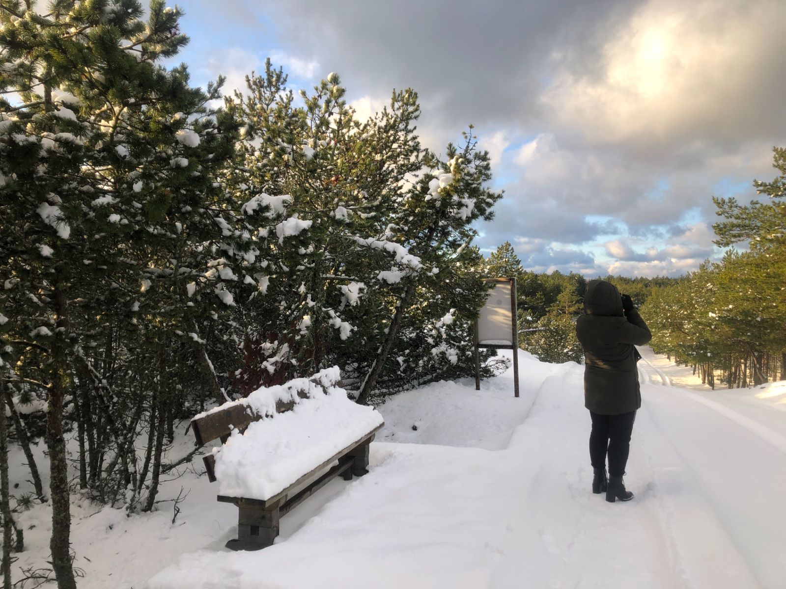 Зимой на маршруте "Озеро Лебедь"