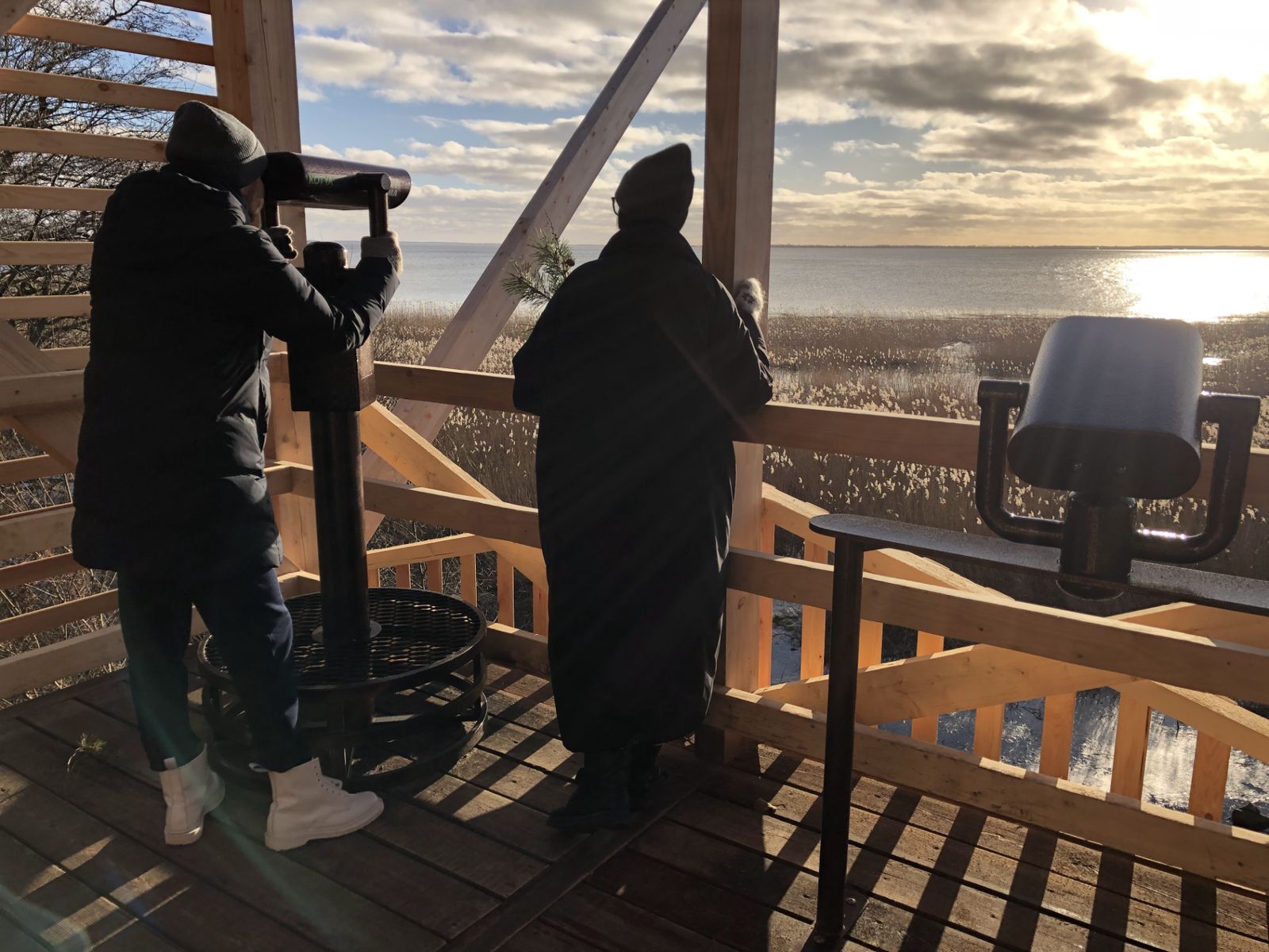 Наблюдение за птицами в Королевском бору