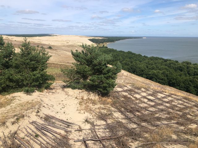 Экскурсия из Калининграда "Самое интересное на Куршской косе"