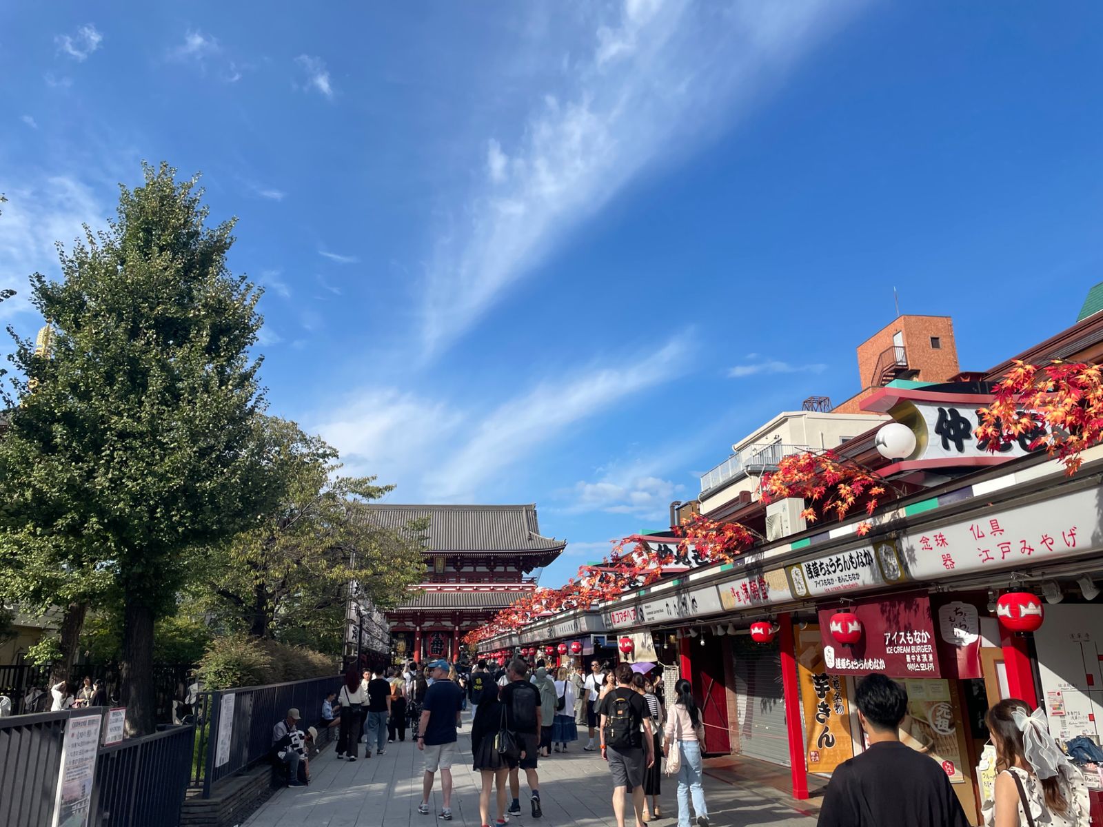 На прогулке