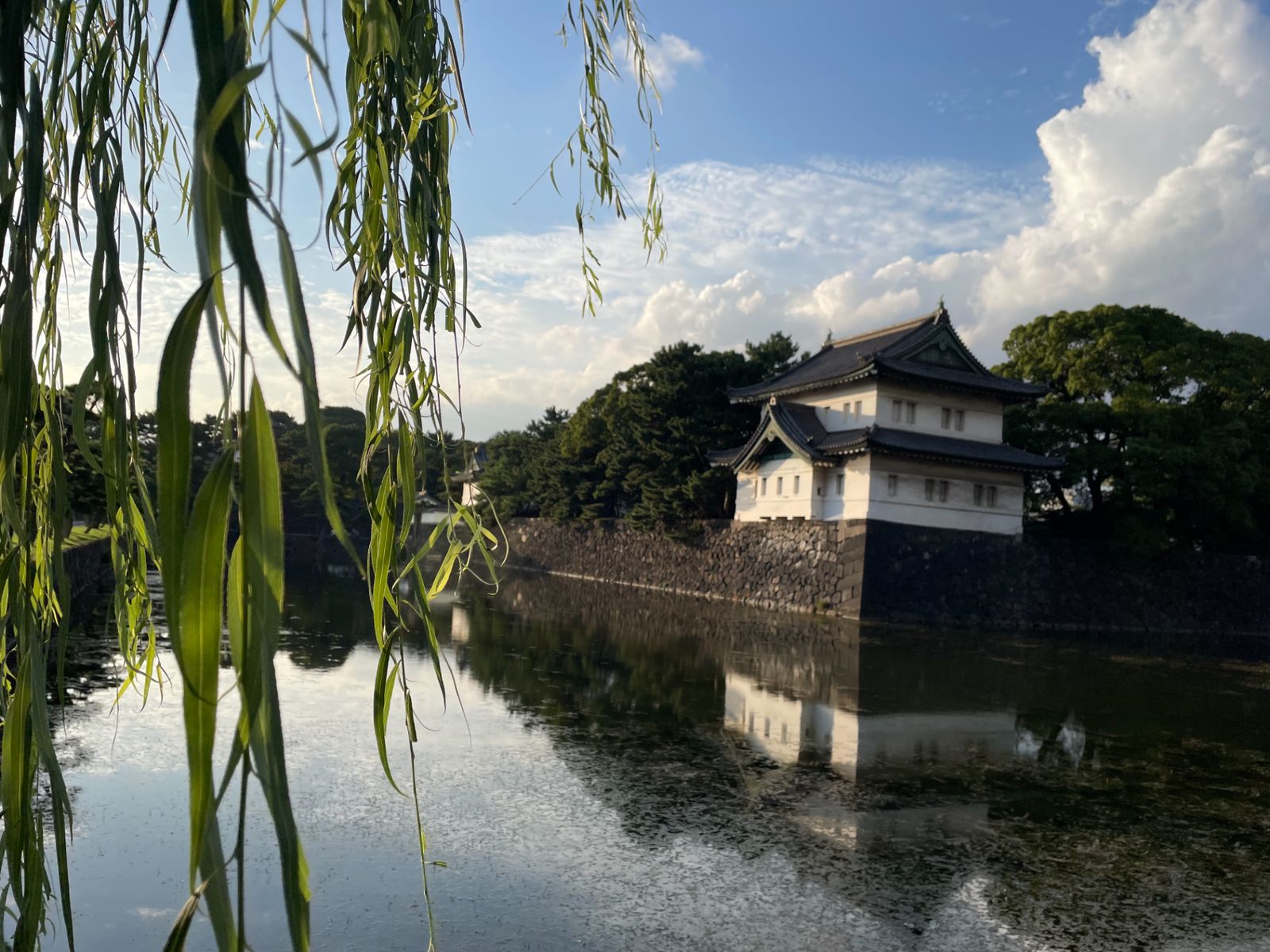 На экскурсии