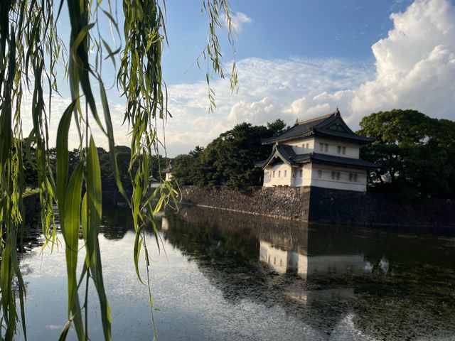 Обзорная экскурсия по Токио в деталях: от храмов до небоскрёбов