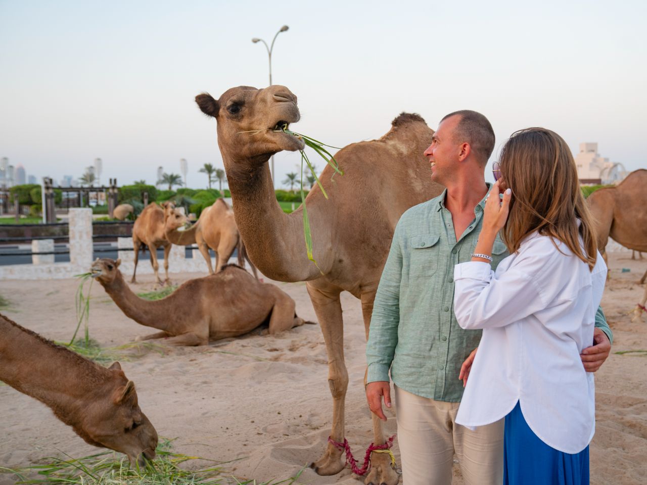 Групповая обзорная экскурсия по столице Катара: Доха за 5 часов - групповая экскурсия в Дохе на автобусе длительностью 5 часов с количеством участников более 20 человек цена экскурсии 50$
