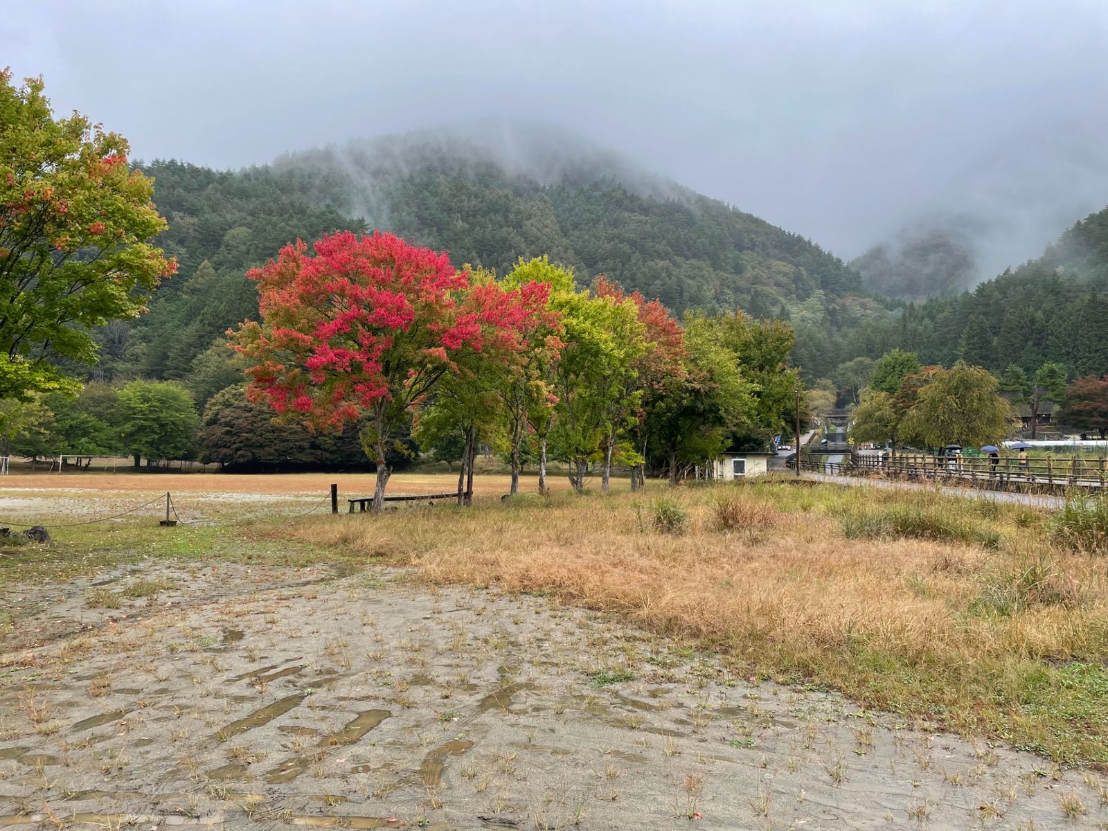 Ияси но Сато