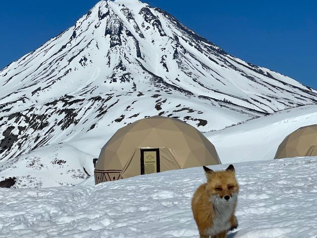 Обзорная экскурсия к вулканам, океану и термальным источникам — фото 3