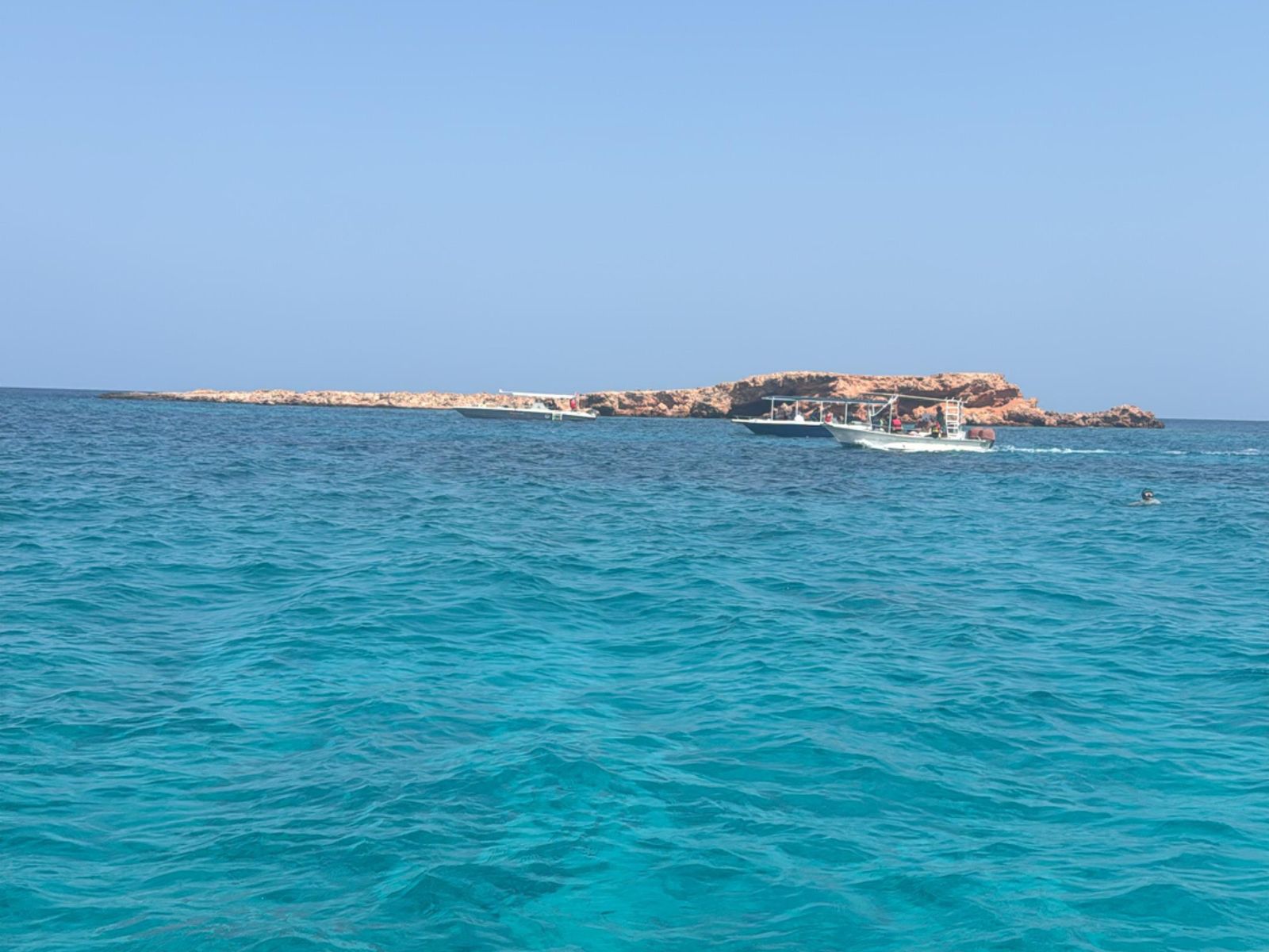 На прогулке