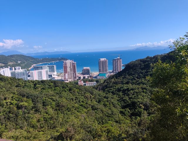 Индивидуальная обзорная экскурсия по Шэньчжэню