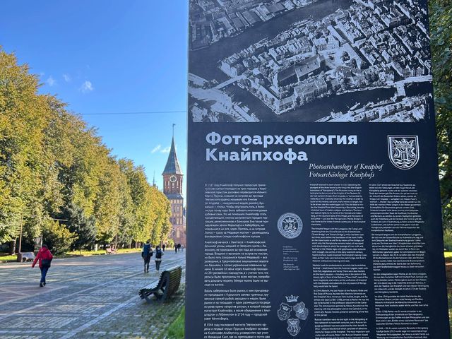 Обзорная экскурсия по вкусному Калининграду в центре — фото 3
