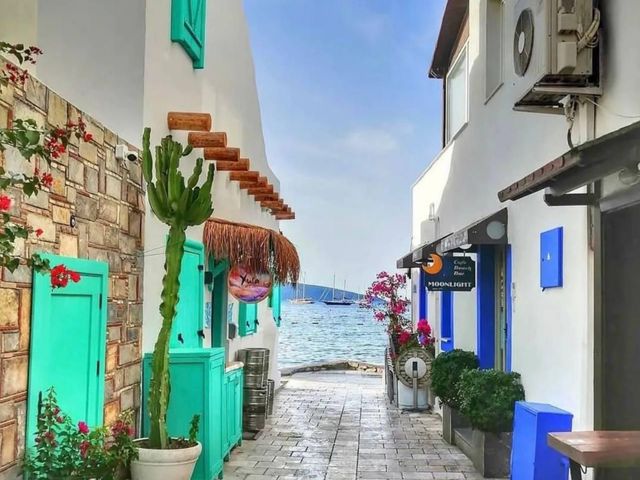 Групповая обзорная экскурсия по Бодруму на автобусе и пешком