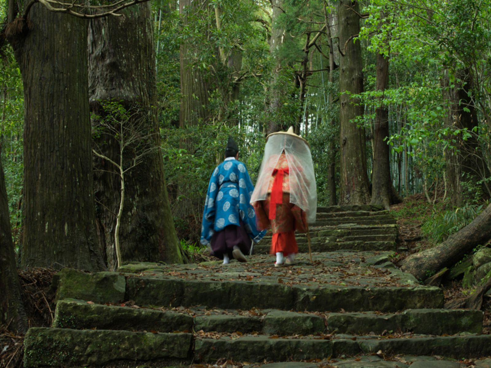 Хаконэ, тракт