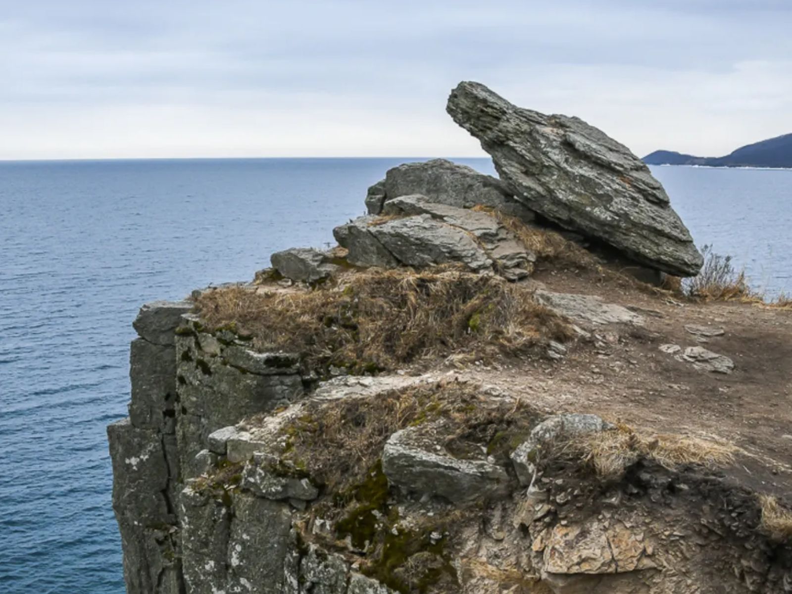 Каменная черепаха