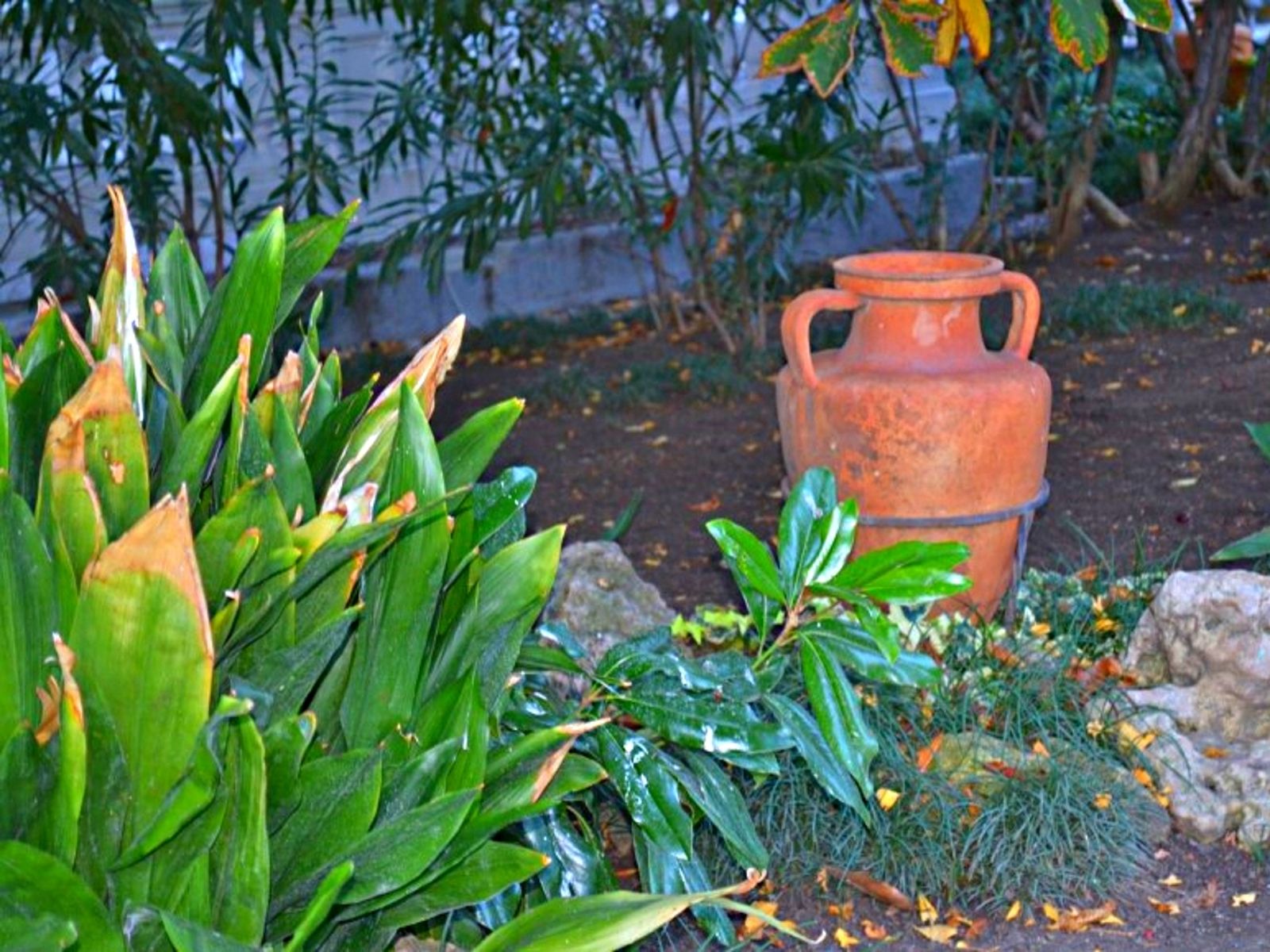 Греческая амфора