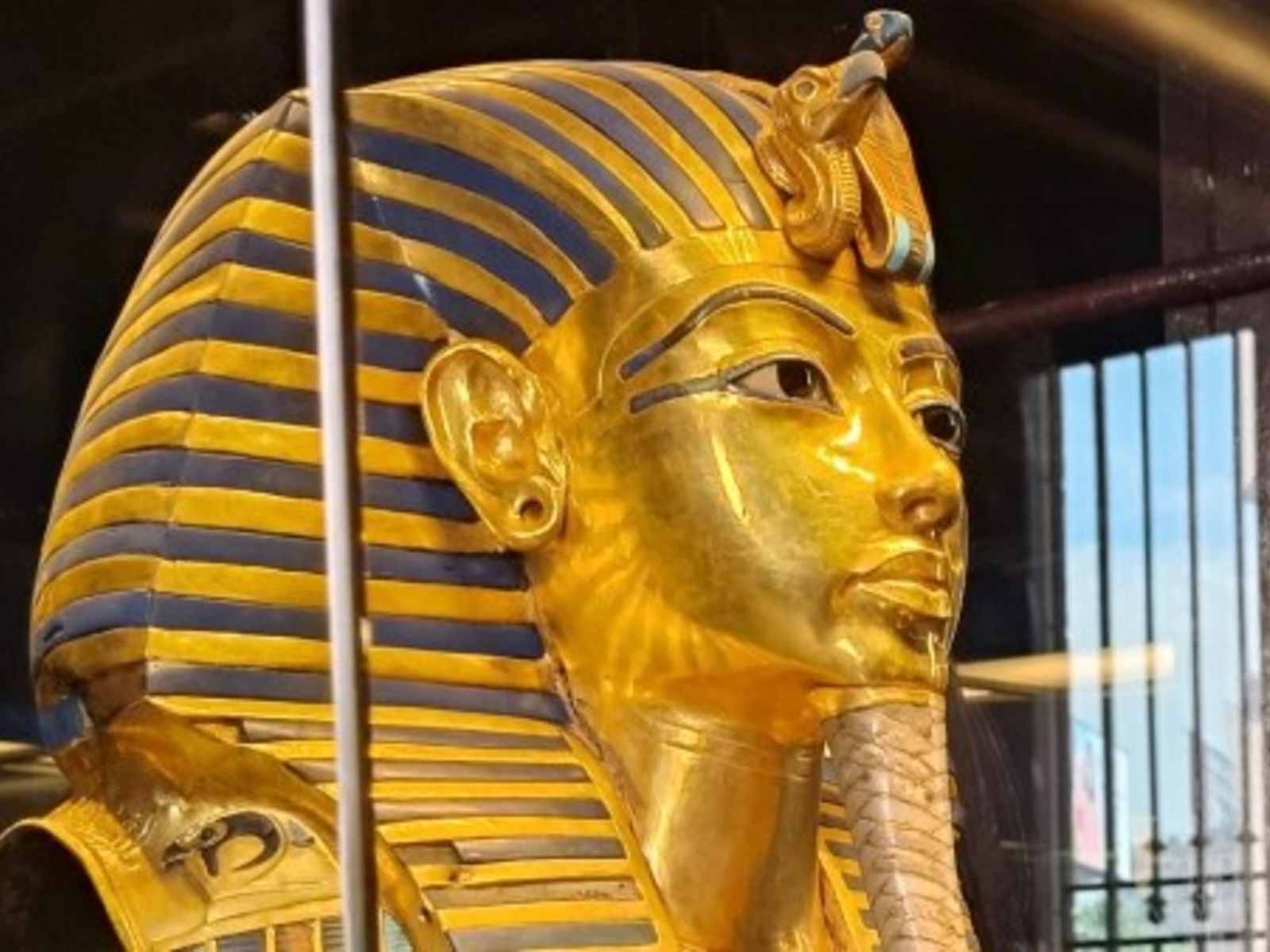 Молодой золотой фараон