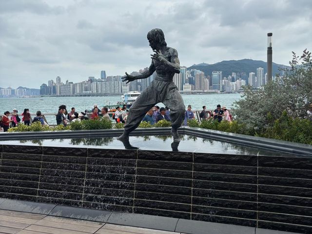 Индивидуальная обзорная экскурсия по Гонконгу на автомобиле