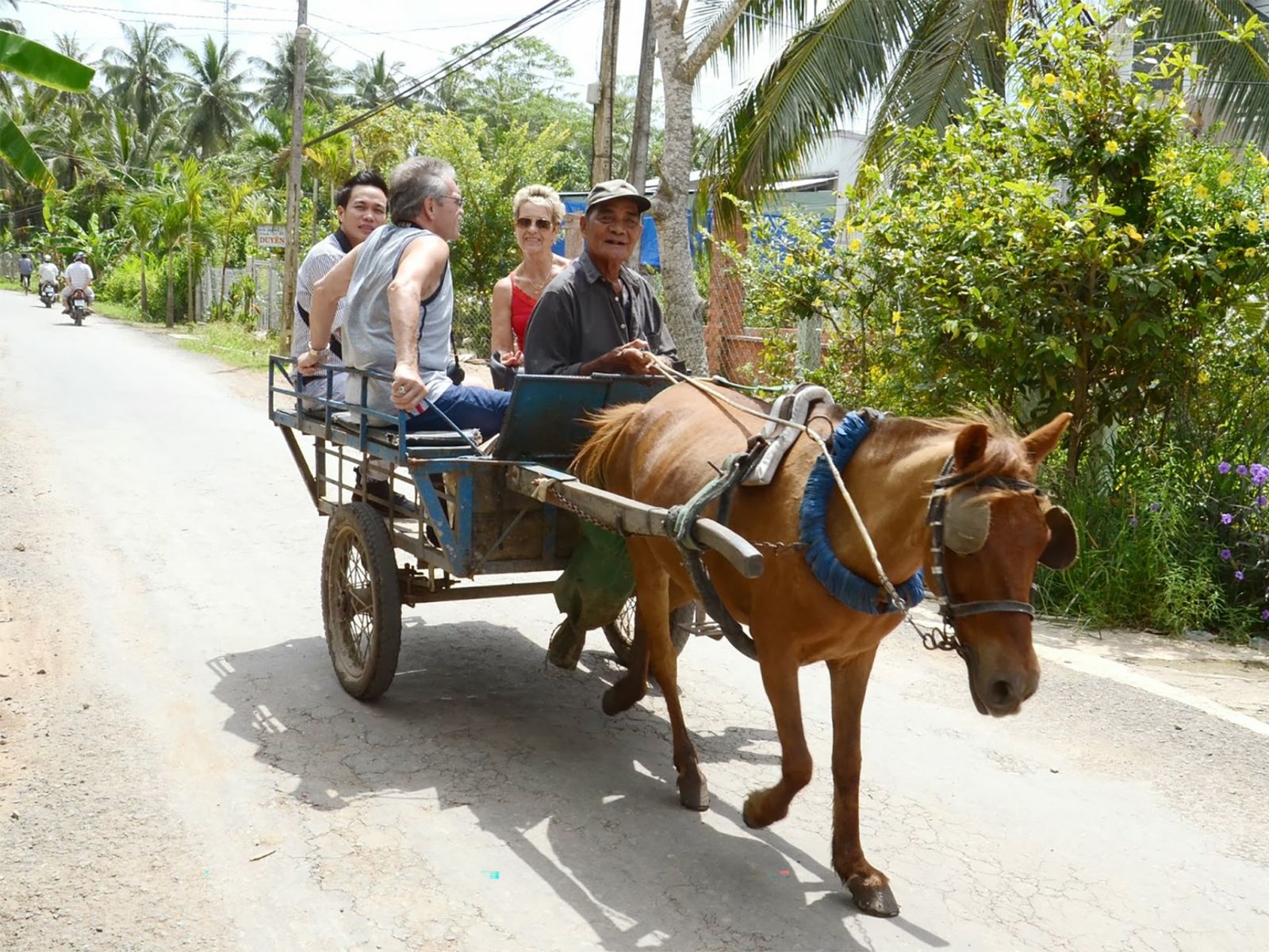 Проедем на конной повозке по деревенской дороге  