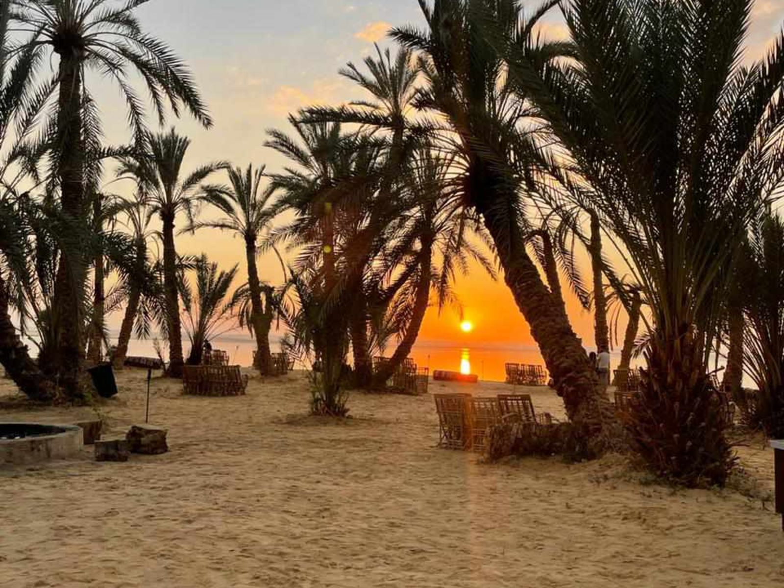 Зеленый оазис