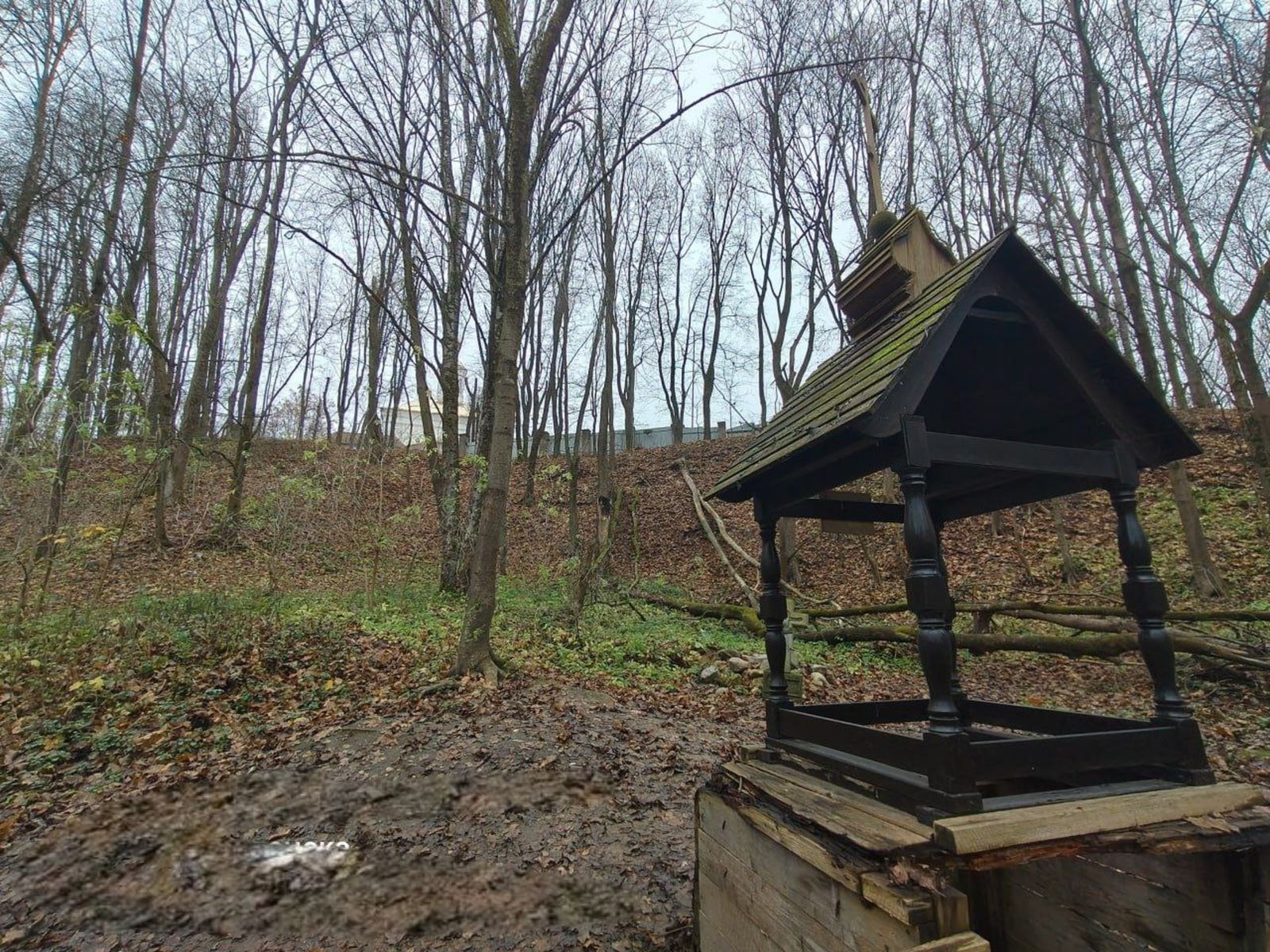 Святой источник Меркурия Смоленского