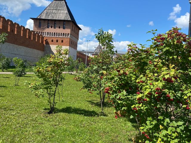 Индивидуальная экскурсия в Туле: пир, пирог и тульский лапоть — фото 3