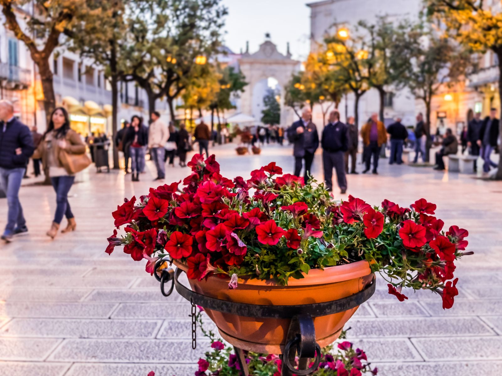 В Старом городе