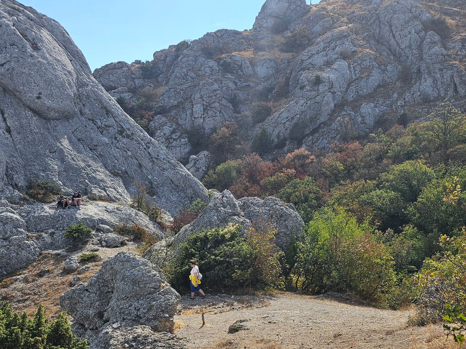 Загадай желание