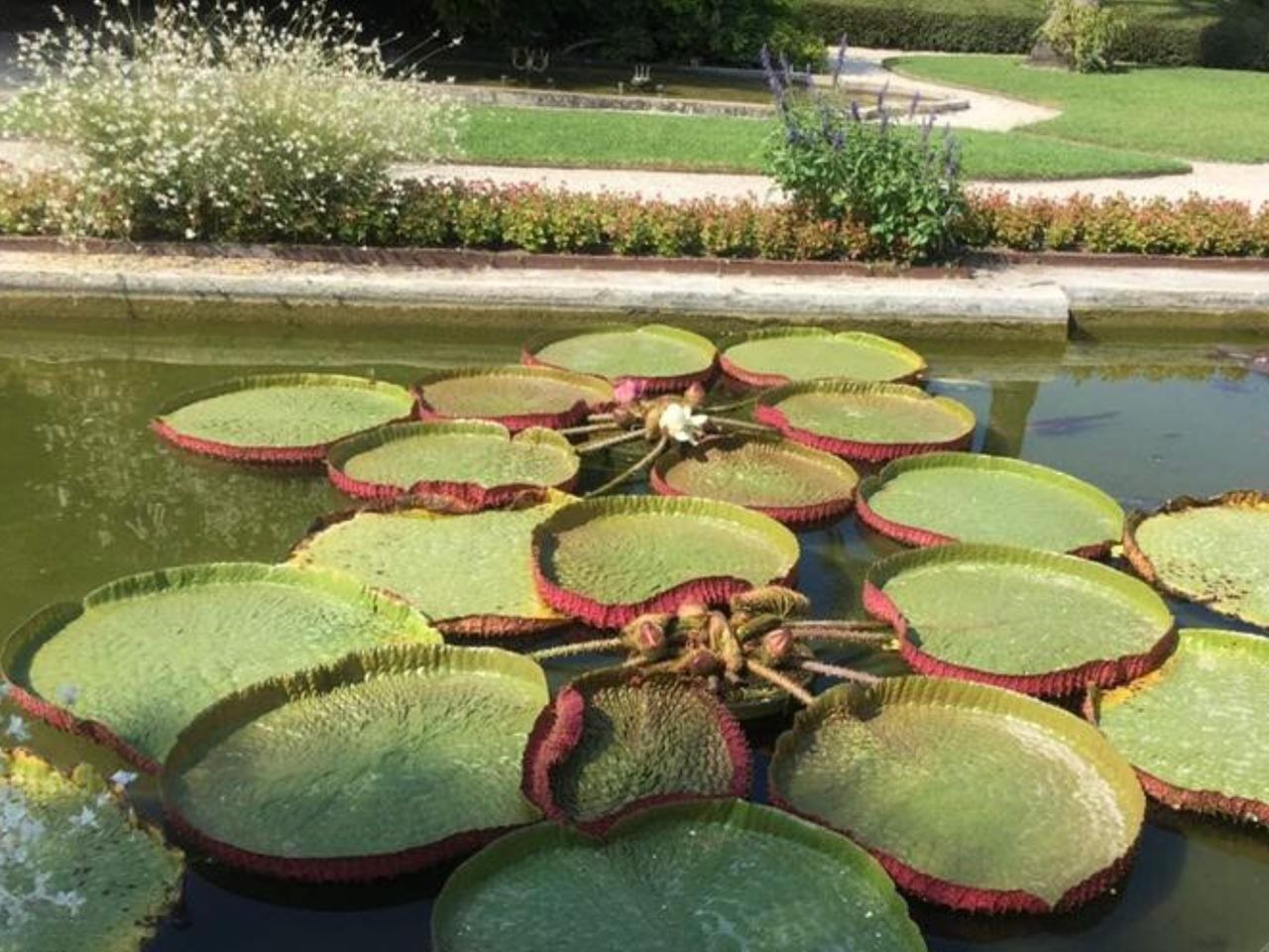 Экскурсия из Марселя в ботанический сад "Хэнбери" в Вентимилье - индивидуальная экскурсия в Марселе на машине гида длительностью 4 часа с количеством участников до 4 человек цена экскурсии 375€