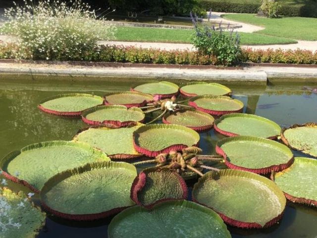 Экскурсия из Марселя в ботанический сад "Хэнбери" в Вентимилье