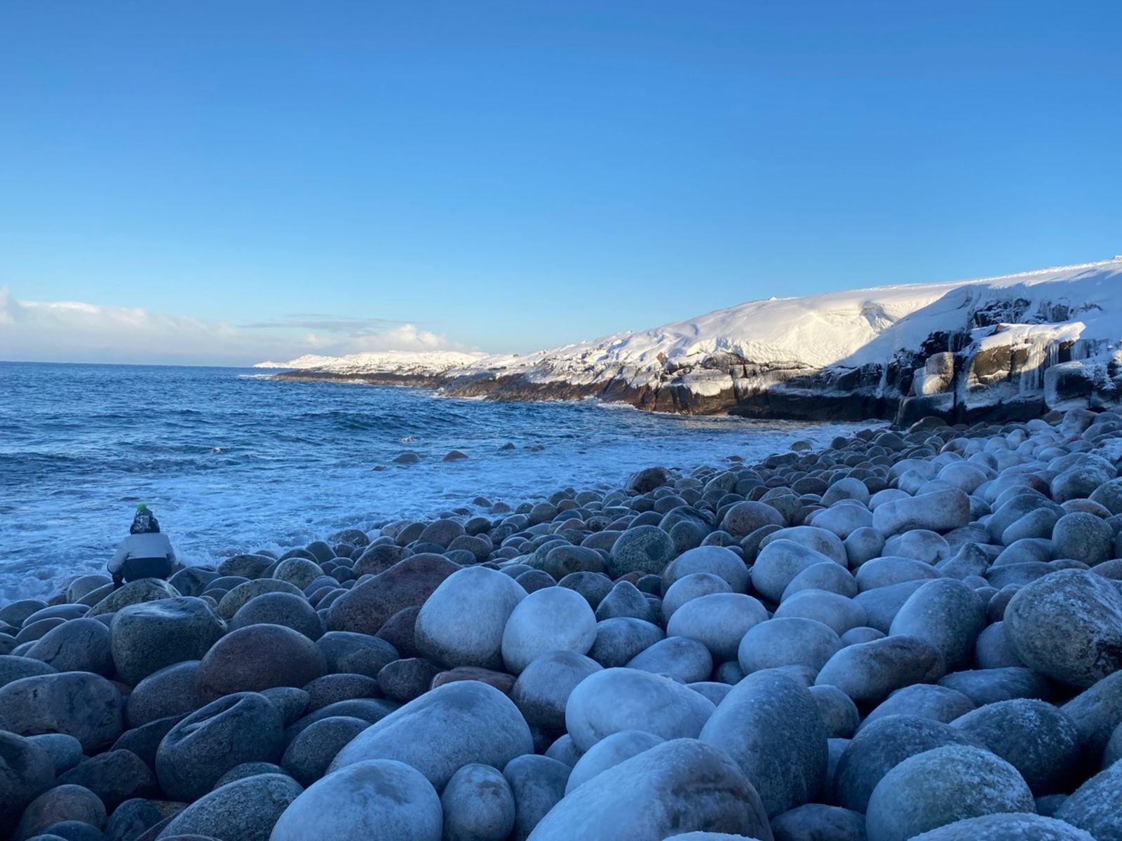 Яйца драконов