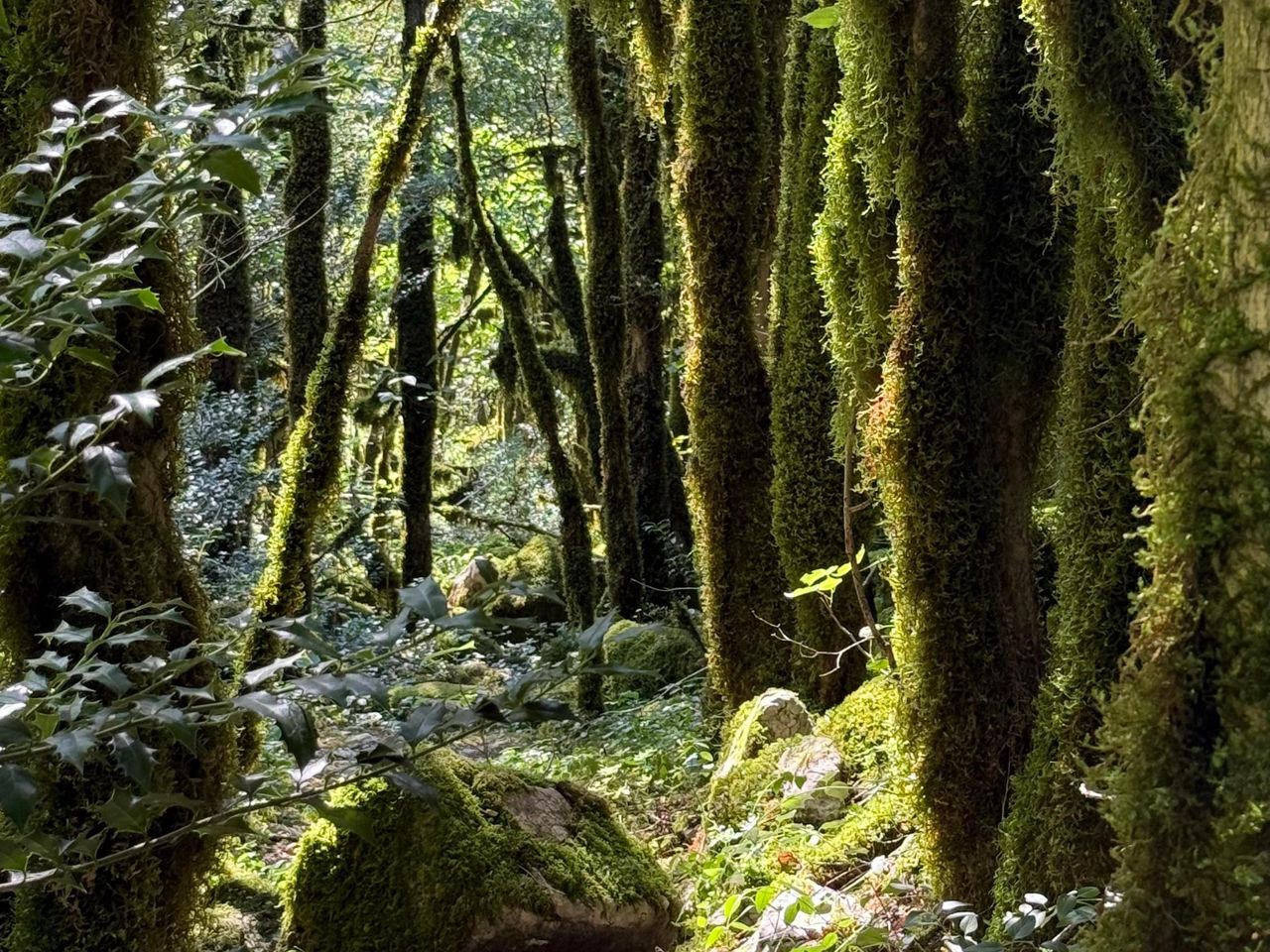 Индивидуальная экскурсия из Гудауты по природным локациям Абхазии - индивидуальная экскурсия в Гудауте на машине гида длительностью 7 часов с количеством участников до 5 человек цена экскурсии 18700₽