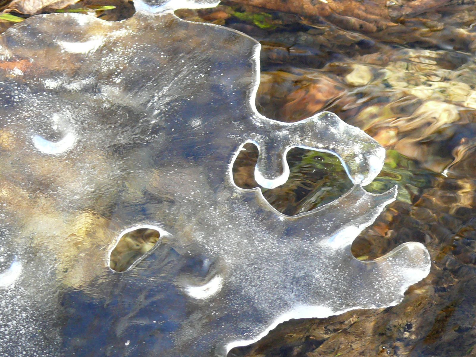 Ледяные узоры