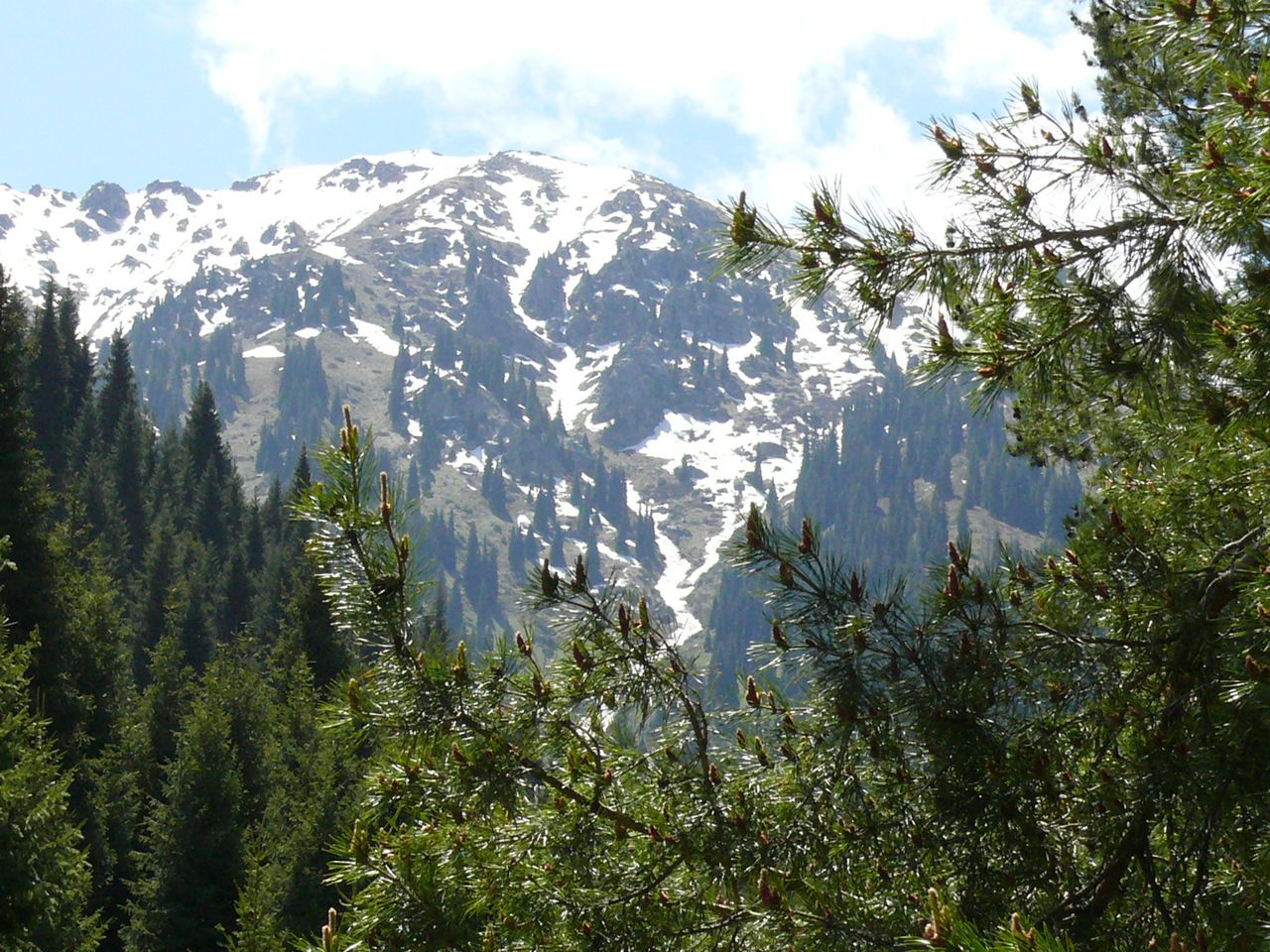 Обзорная экскурсия из Алматы в Алмарасан и треккинг к Кок-Жайляу - индивидуальная экскурсия в Алматы на машине гида длительностью 8 часов с количеством участников до 4 человек цена экскурсии 30000₽