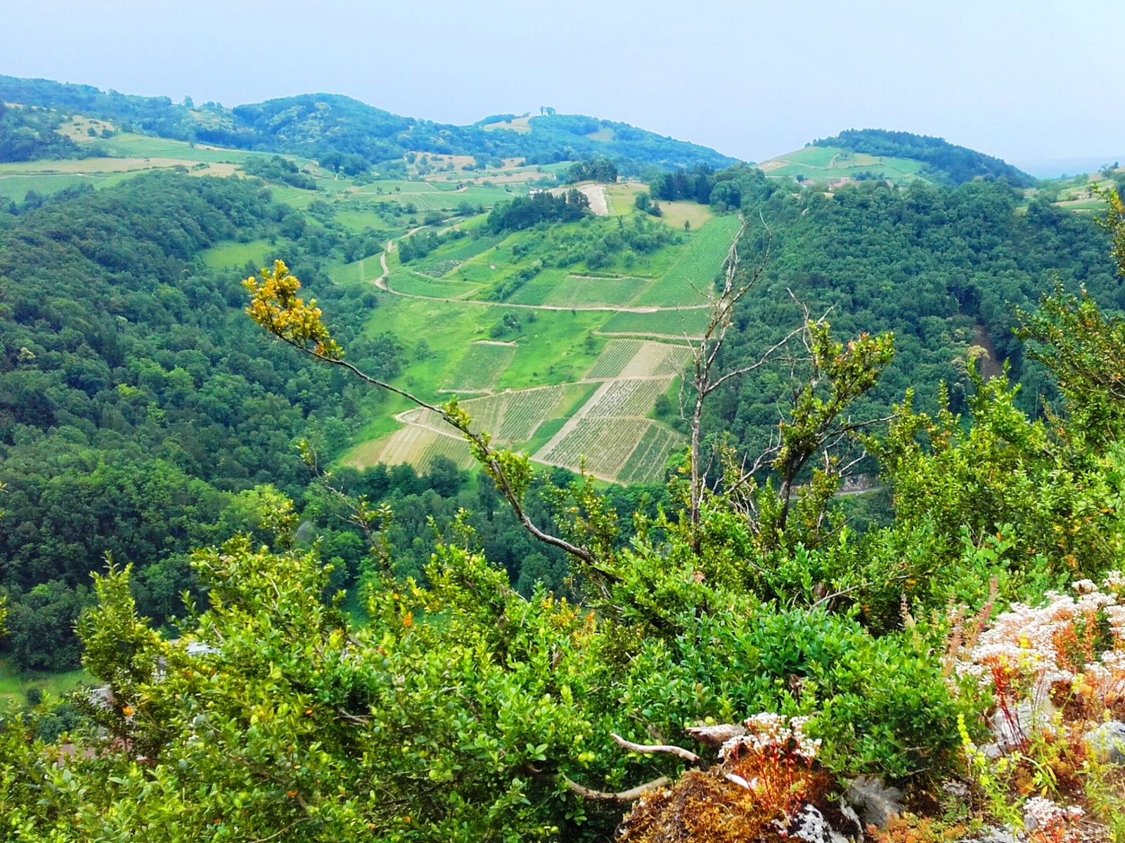 Юрские горы