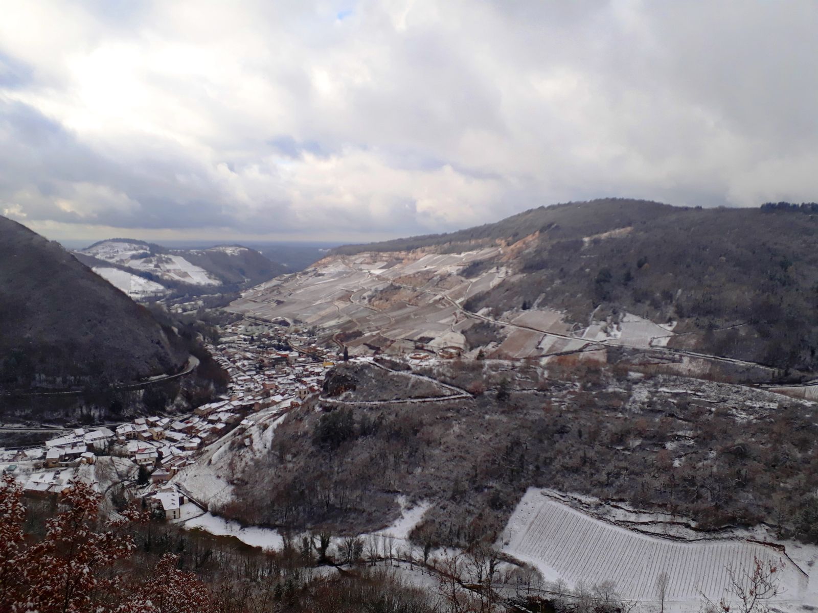 Виноградники зимой