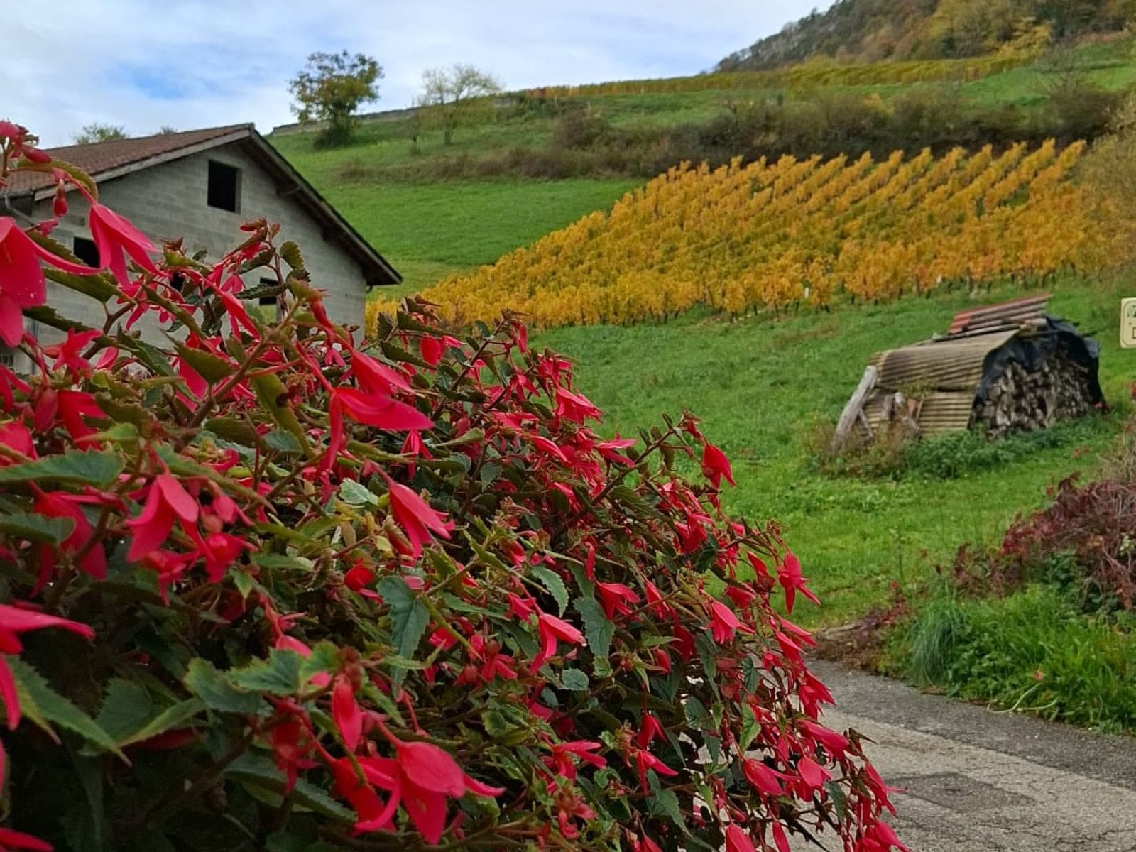 Дорога в Перуж