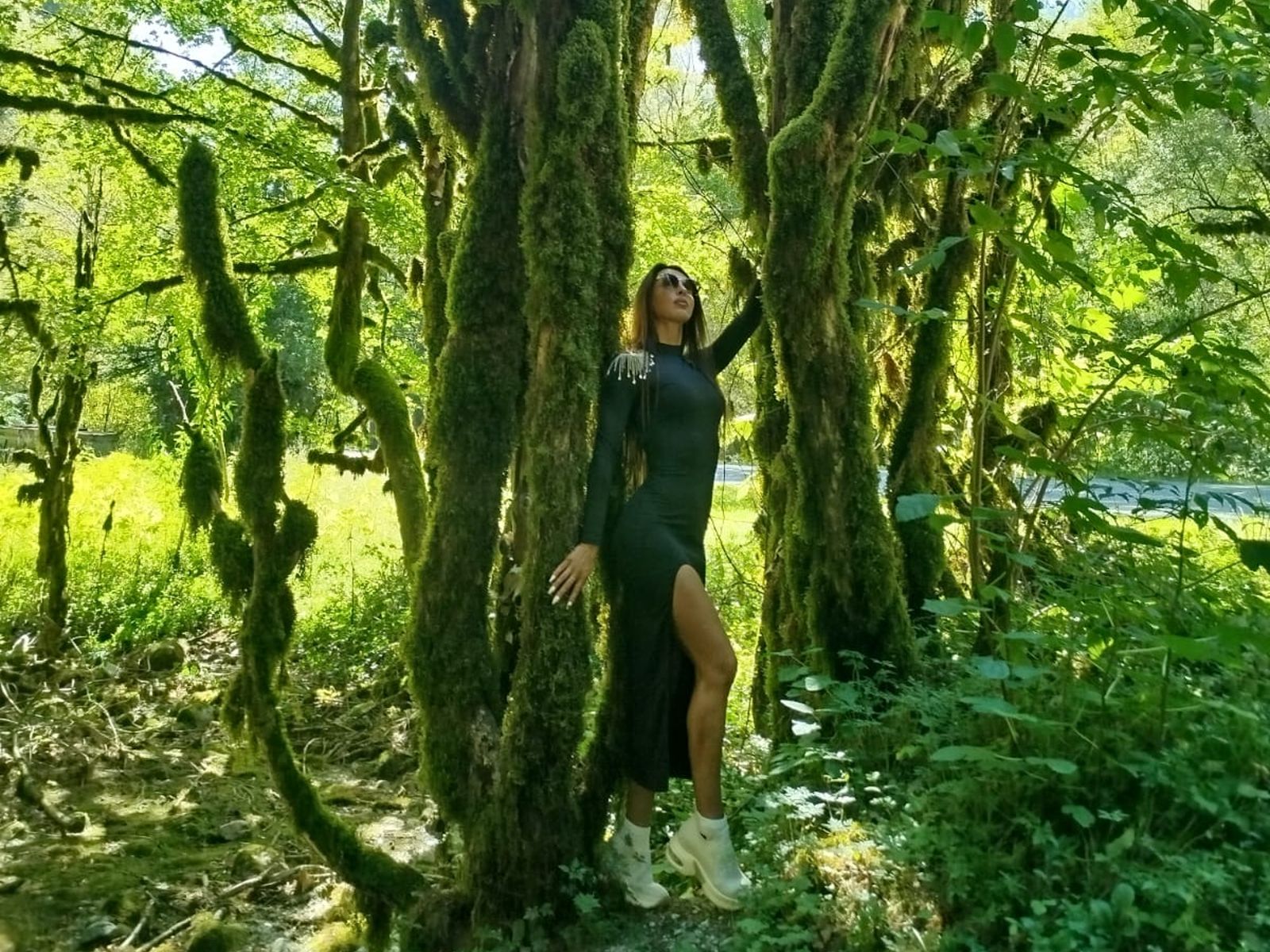 Самшитовый лес