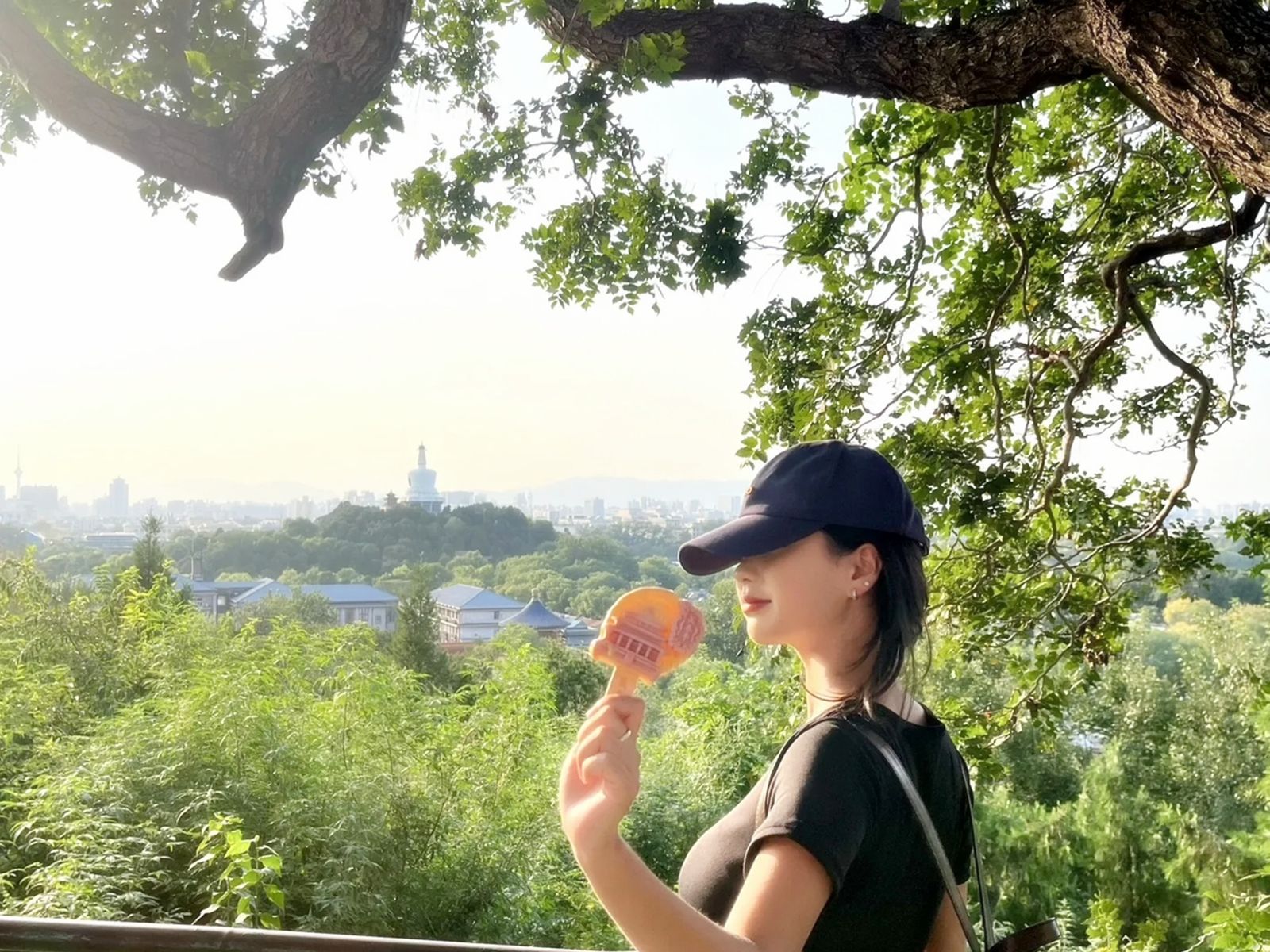 Парк Цзиншань  