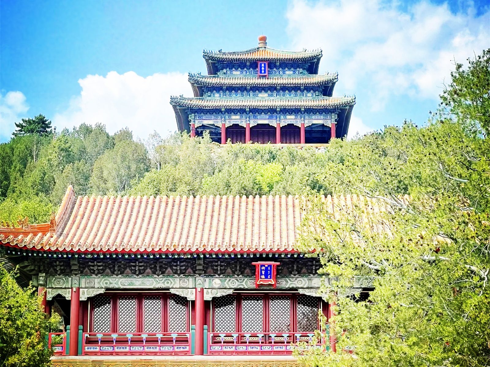 В парке Цзиншань