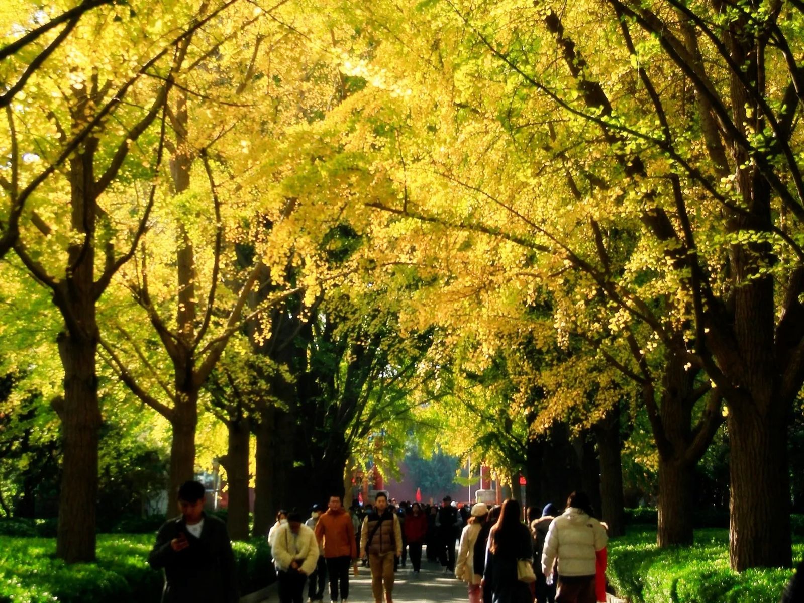 На экскурсии